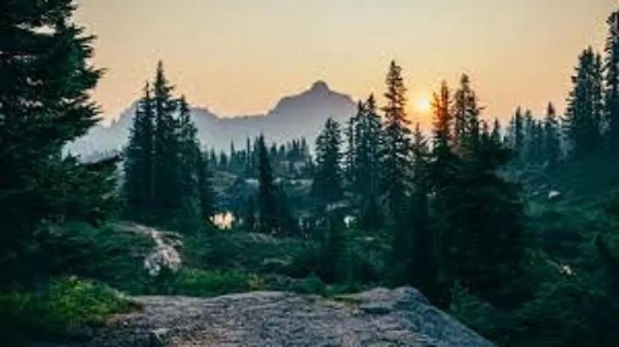 Luxury Tent Stay Filibe 0*,  Bulgaristan